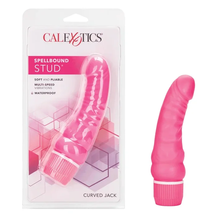 Spartacus Leathers SM Tools Crops: Unleash Your Desires with Classic Riding Crop